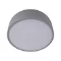 10201/350 Grey
