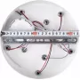 LED LAMPS 81146