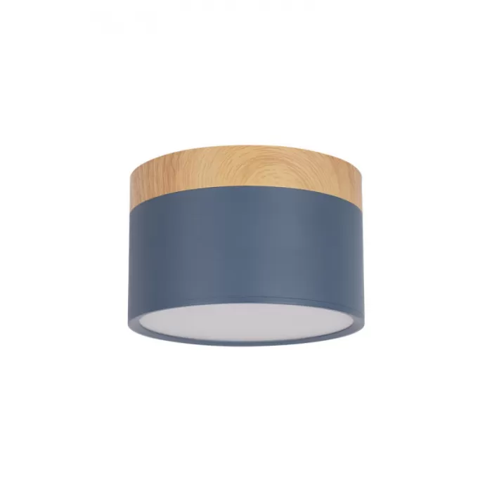 10162 Blue