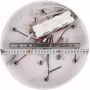 LED LAMPS 81239