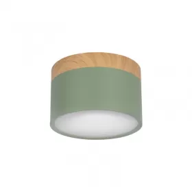 10162 Green