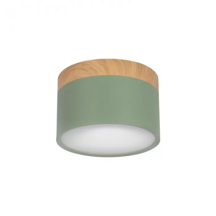 10162 Green