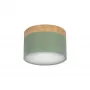 10162 Green