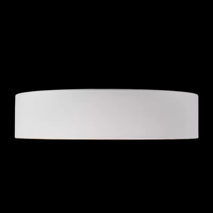 10202 White