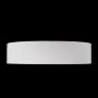 10202 White