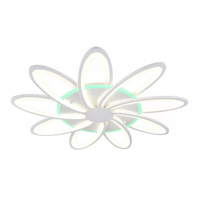 LED LAMPS 81151