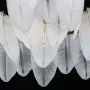 447012206