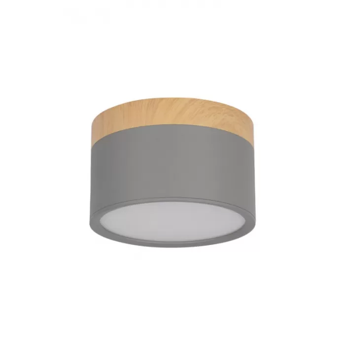 10162 Grey