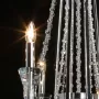 299012508
