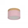 10162 Pink