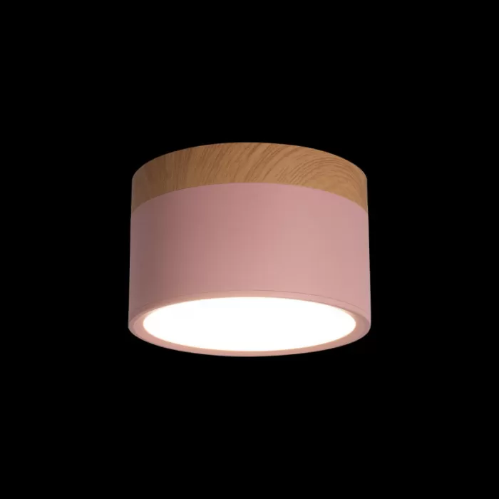 10162 Pink