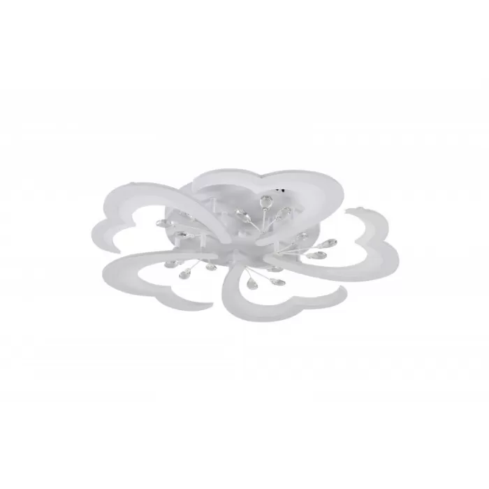 LED LAMPS 81120/5C