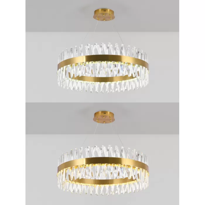 LED LAMPS 81246