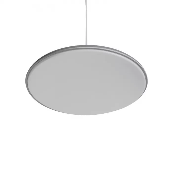 10119 Grey