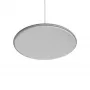 10119 Grey
