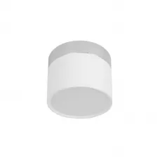 10179/7 White