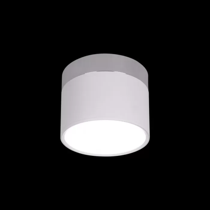 10179/7 White