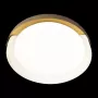 10198 White