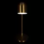 10144 Gold