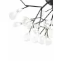 GRACE 75126/36С BLACK