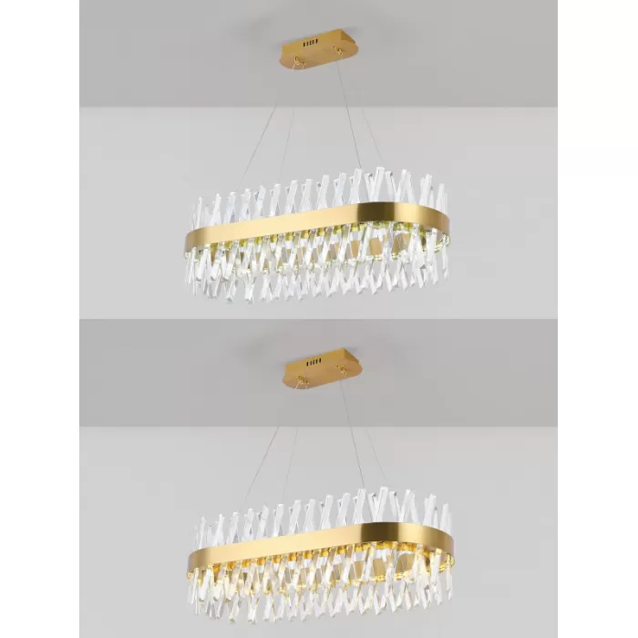 LED LAMPS 81248