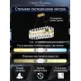 LED LAMPS 81248
