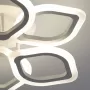 424013206