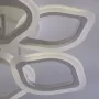 424013206