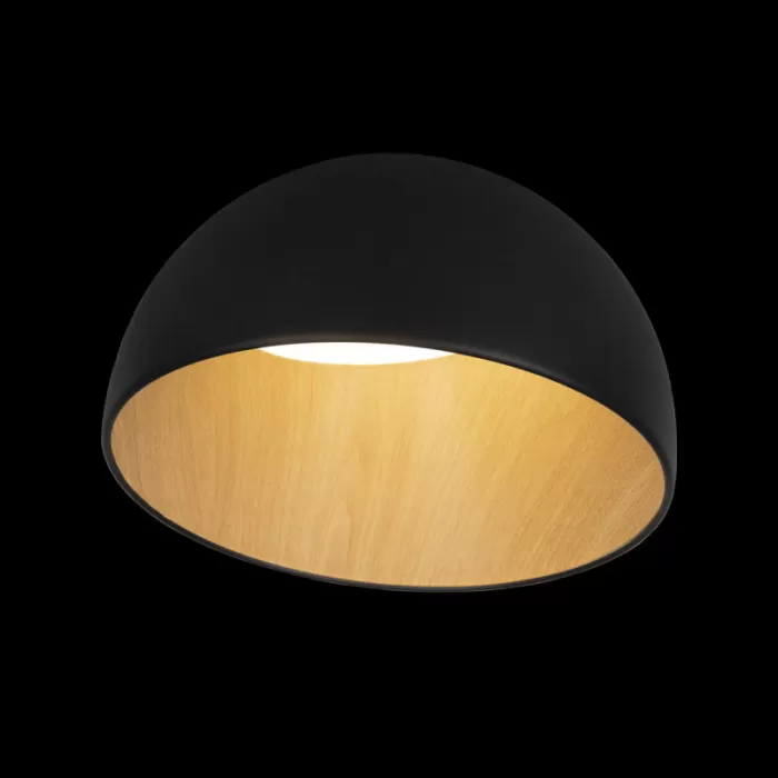 10197/350 Black
