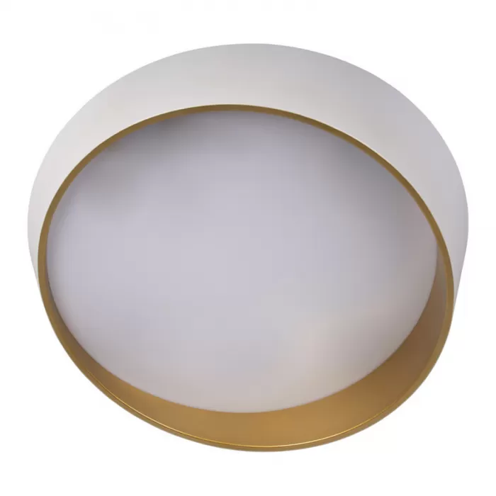 10199 White