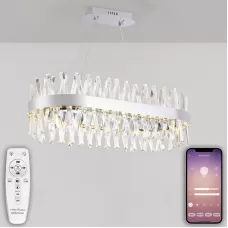 LED LAMPS 81249