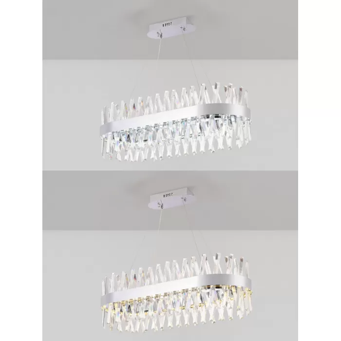 LED LAMPS 81249