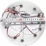 LED LAMPS 81133