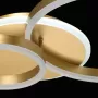 510011503