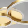 510011503