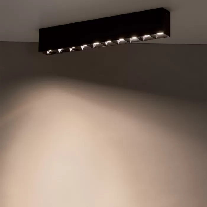 10056