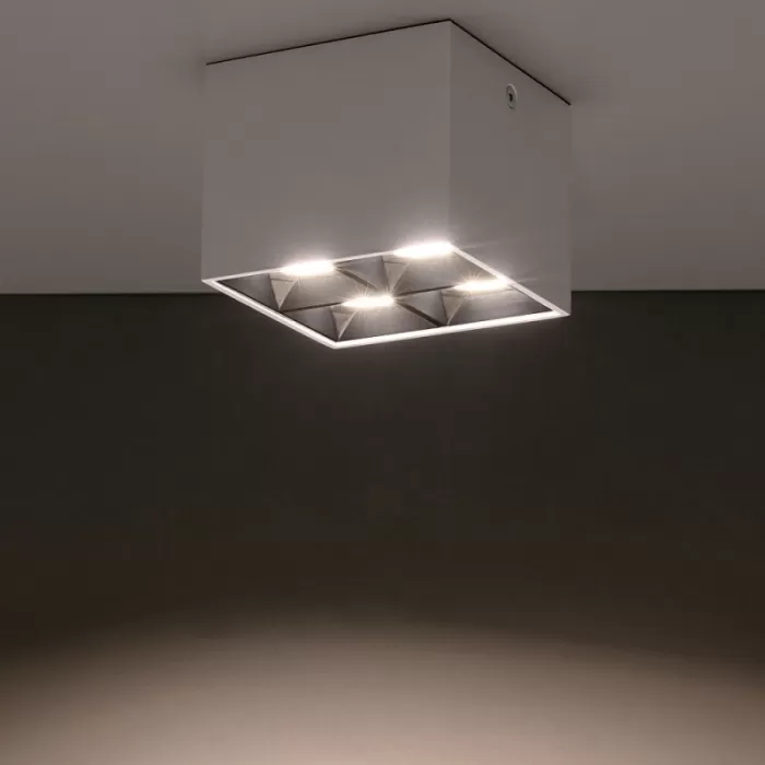 10051