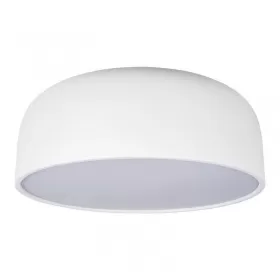 10201/480 White