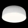 10201/480 White