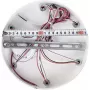 LED LAMPS 81134