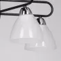 635011505