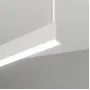 36732