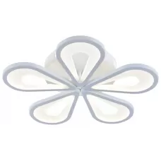 10206/5LED White