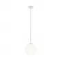 MOD321PL-01W1