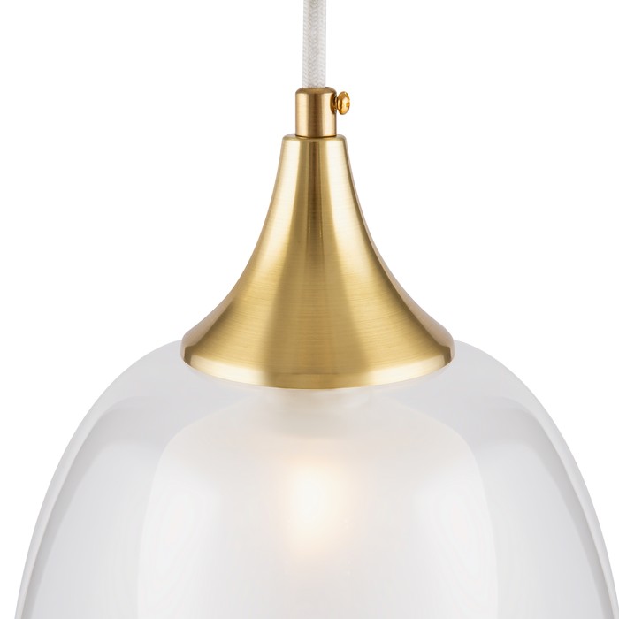 MOD016PL-01BS