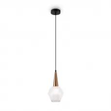 FR5133PL-01W