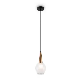 FR5133PL-01W