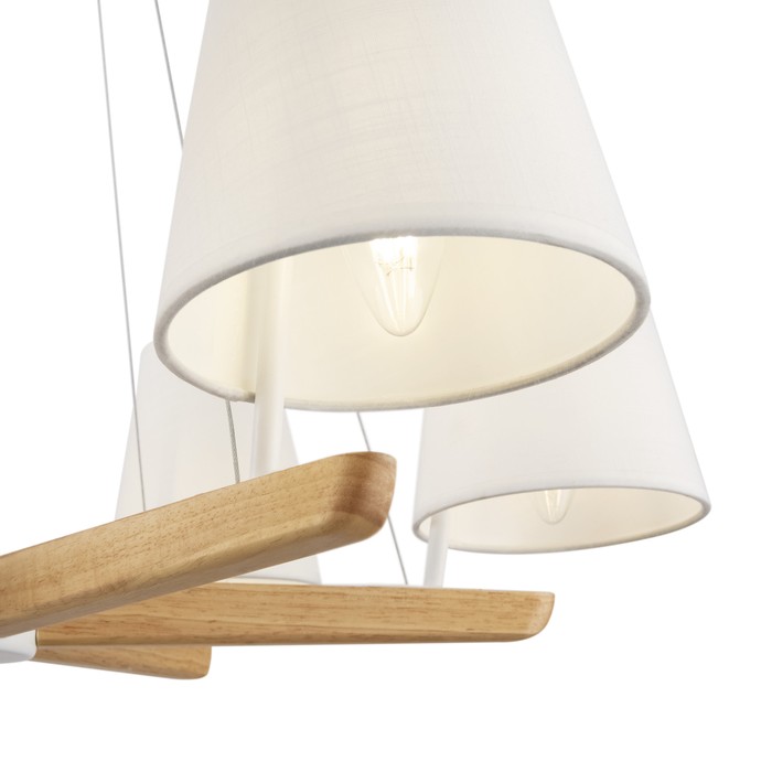 FR8019PL-06W