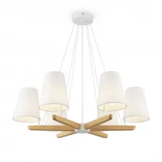 FR8019PL-06W
