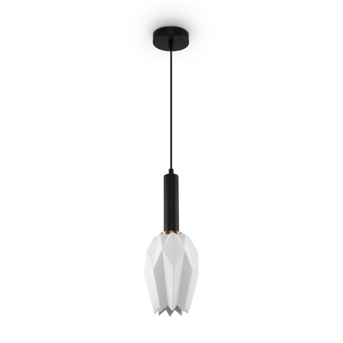 FR9001PL-01B